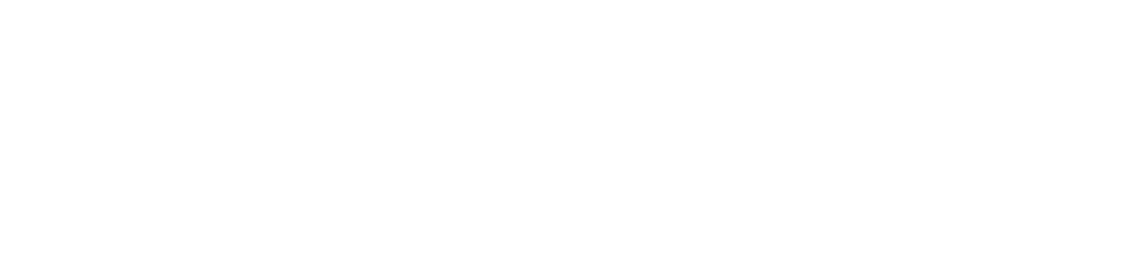 Make-A-Wish® Calendar of Wishes